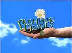Pushing Daisies: Logotipo