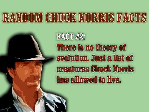 Teoría de la evolución de Chuck Norris
